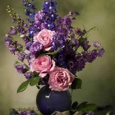 手机版ddos攻击器